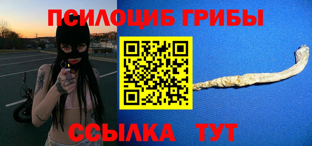 Галлюциногенные грибы Psilocybe  что такое наркотик  Галлюциногенные грибы Cubensis  Новороссийск  Вход с VPN 